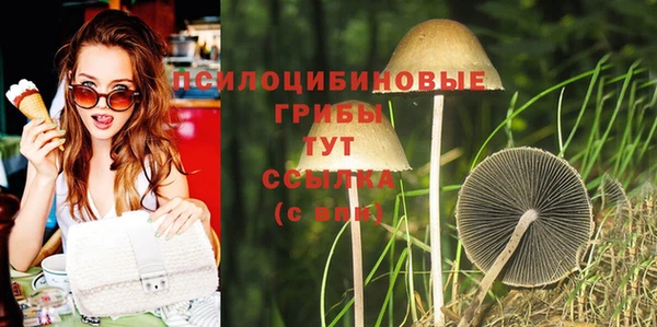 спиды Покачи