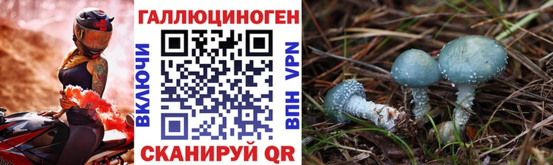 Галлюциногенные грибы прущие грибы  Белоусово 